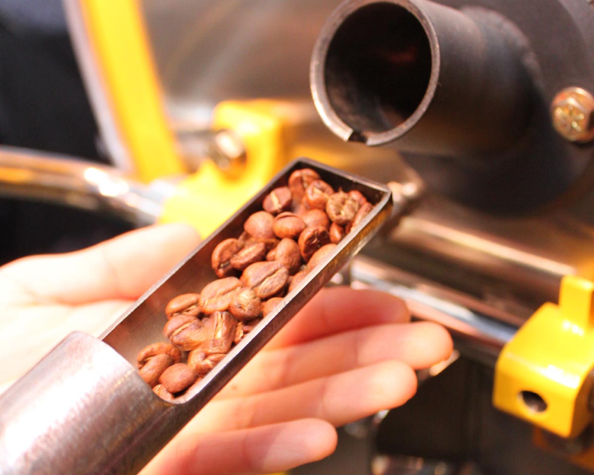 高性能焙煎機で焙煎